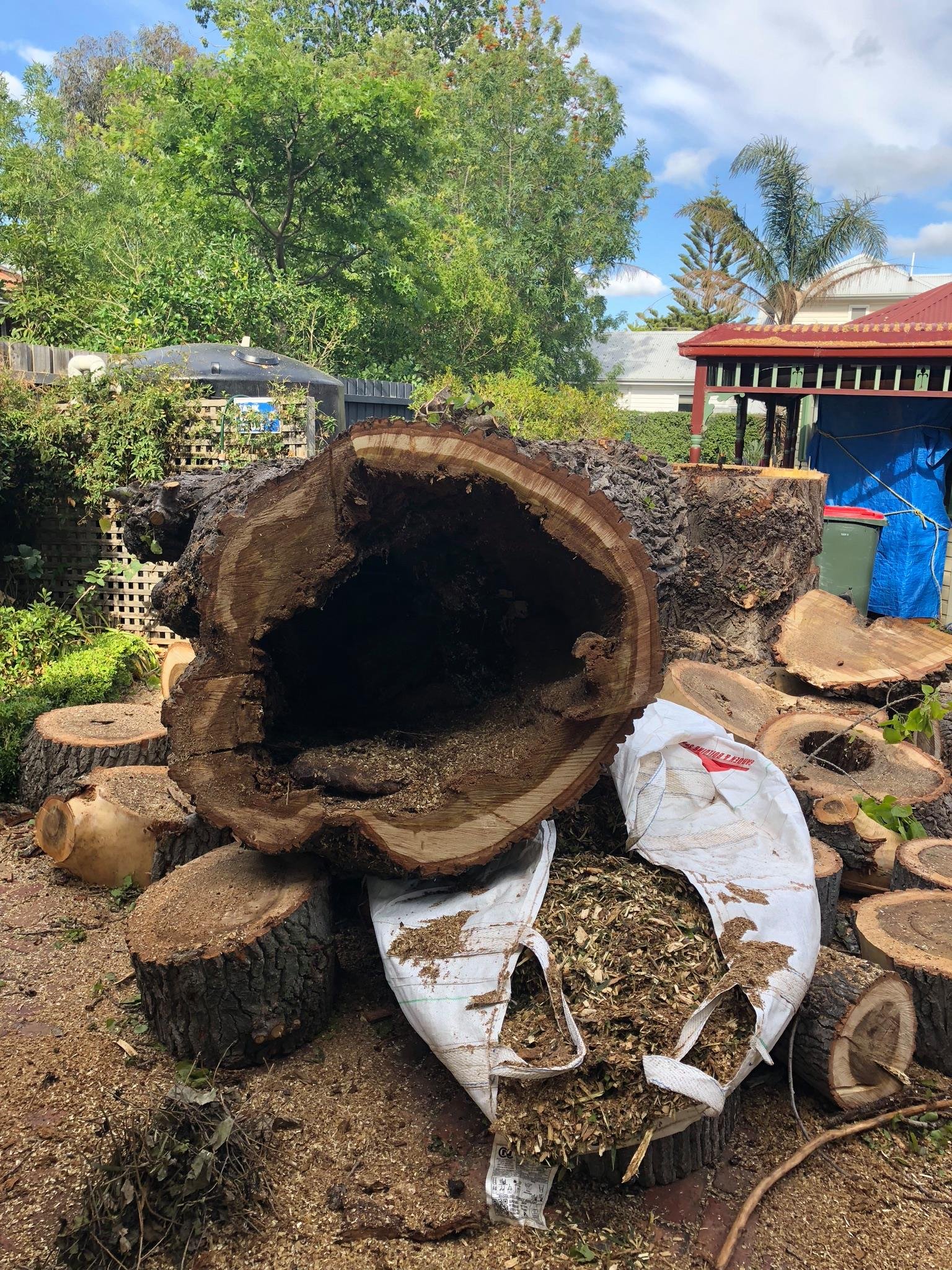 Commercial tree work